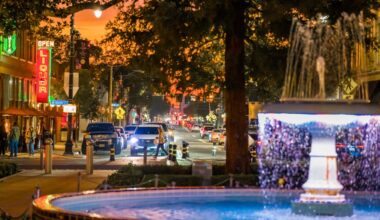 Orange to spend $300,000 more to stop drivers from crashing into Plaza Park in famed traffic circle – Orange County Register