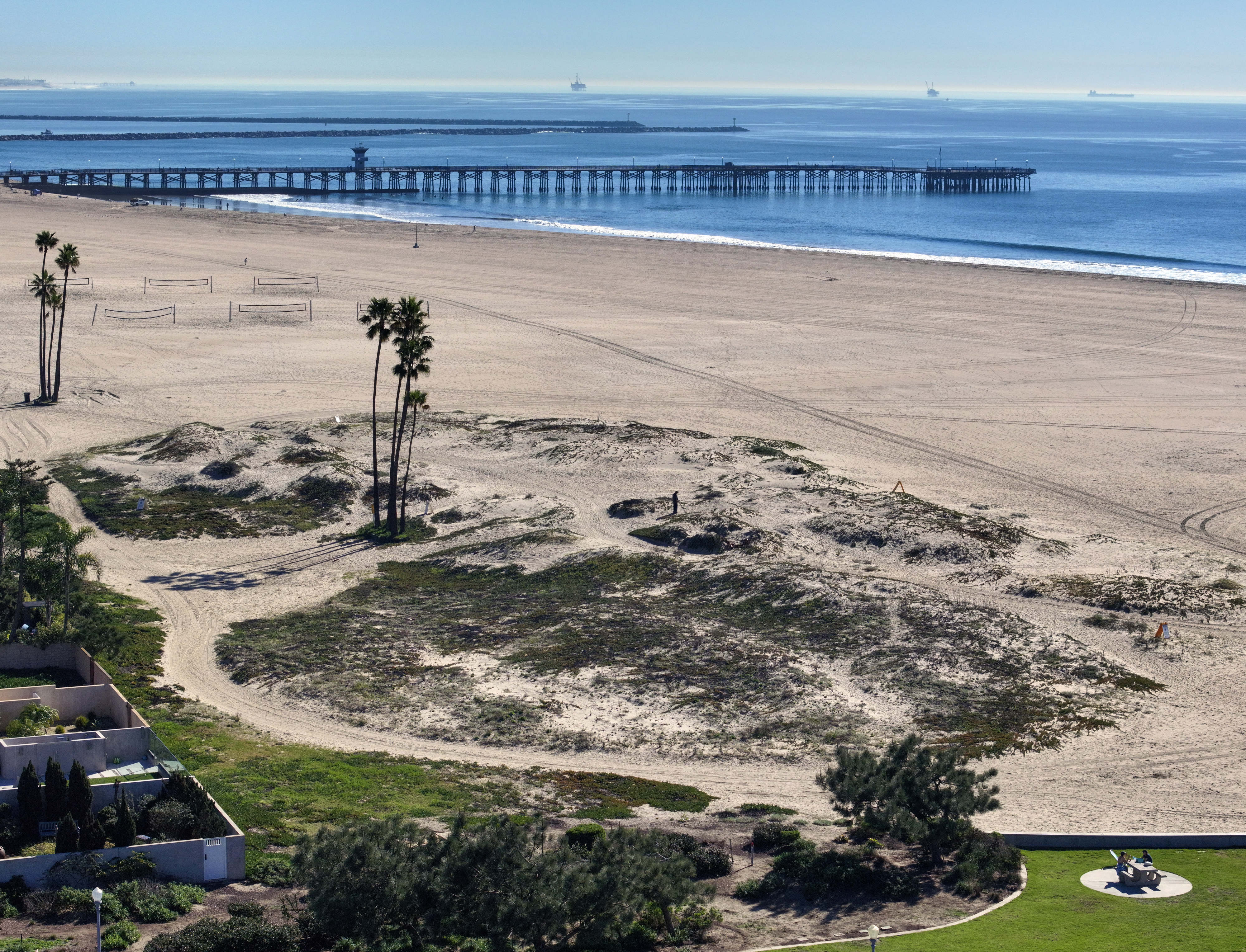 Natural coastal dunes south of the 1st street parking lot...