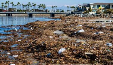 Seal Beach looking to team up on projects to stop trash washing down the San Gabriel River – Orange County Register