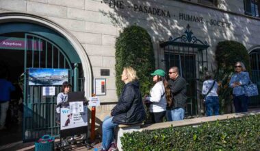 The fires and animal welfare in Altadena and L.A. – Pasadena Star News