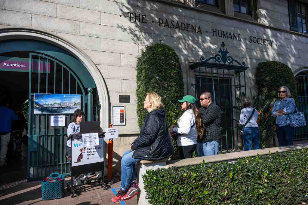 The fires and animal welfare in Altadena and L.A. – Pasadena Star News