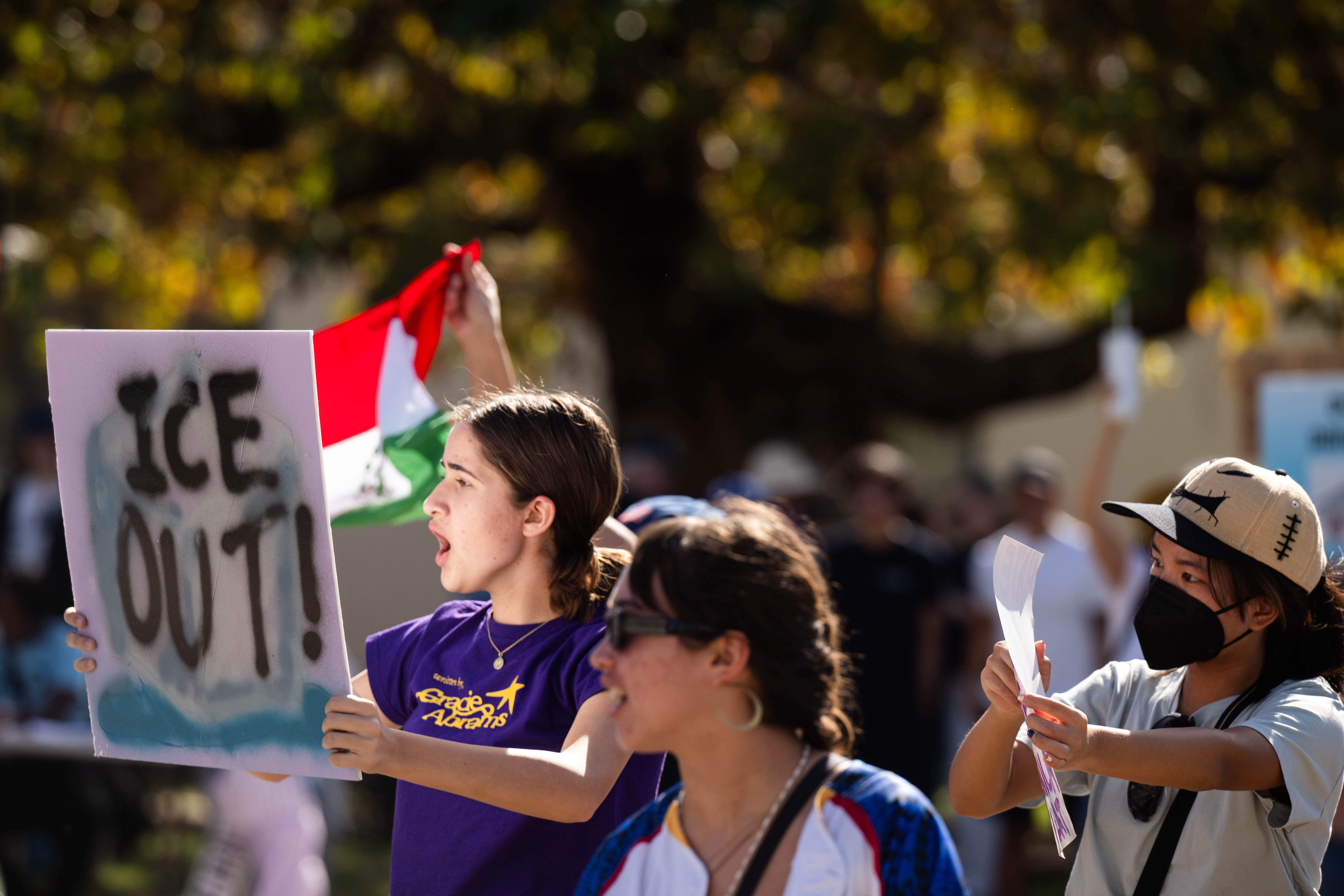 People join a nationwide âIce Out of Everywhereâ protest at...