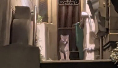 Photo: LadyTrady // Reddit