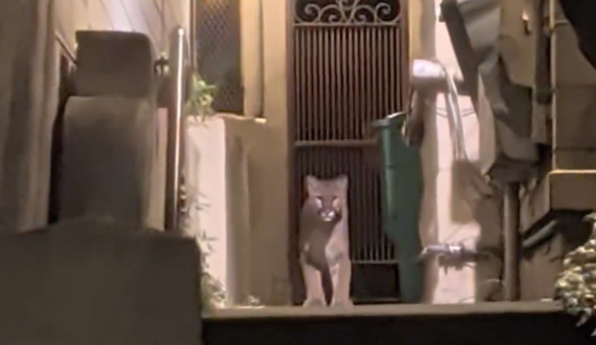 Photo: LadyTrady // Reddit