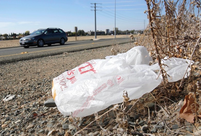 Plastic bag on roadside