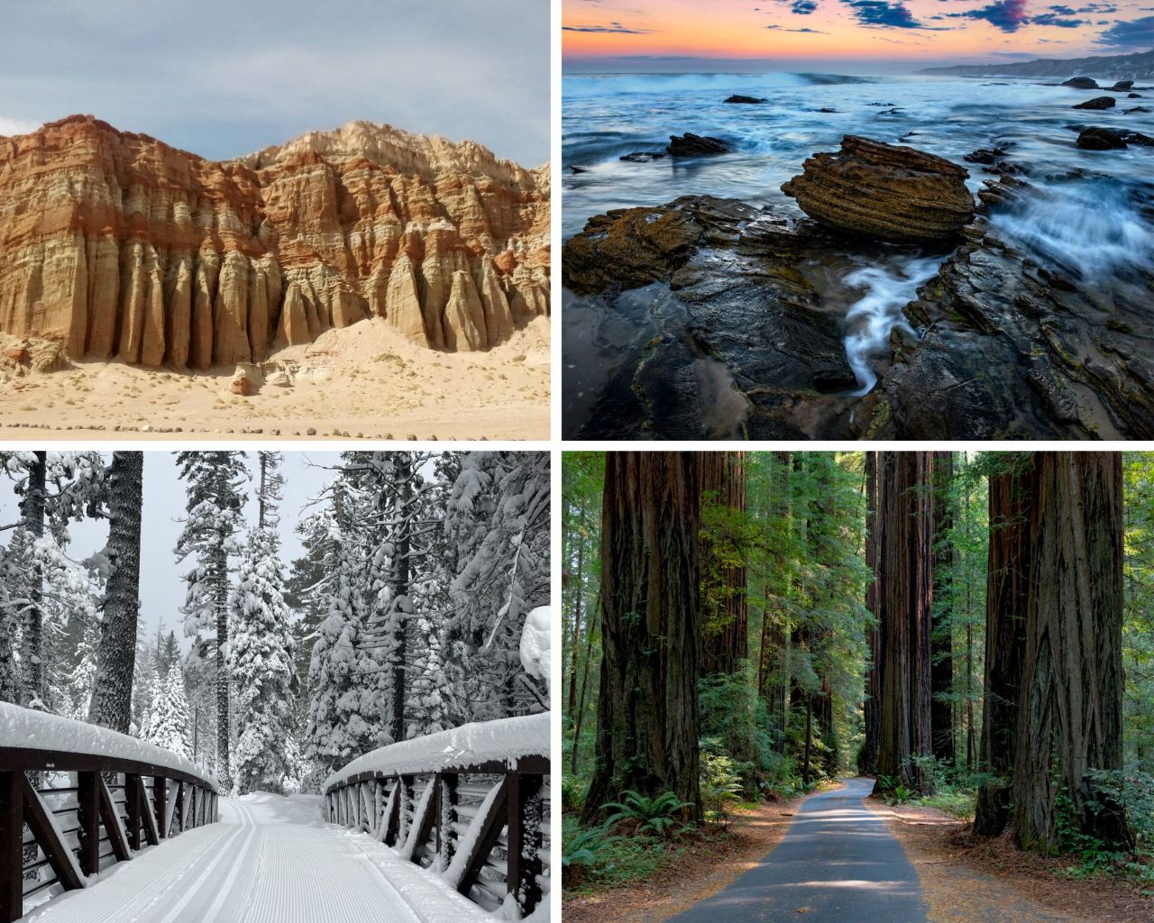 Top photos: Spectacular rock formation at Red Rock Cayon State Park (SP) and the pristine Pacific Ocean seen at Crystal Cove SP. Bottom photos: enjoy a winter wonderland at Ed Z’berg Sugar Pine Point SP and walk among the giants at Humboldt Redwoods SP.