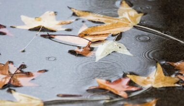 SFEI: The Storm Chasers: How stormwater reveals more than ever about pollution in San Francisco Bay ~ MAVEN'S NOTEBOOK