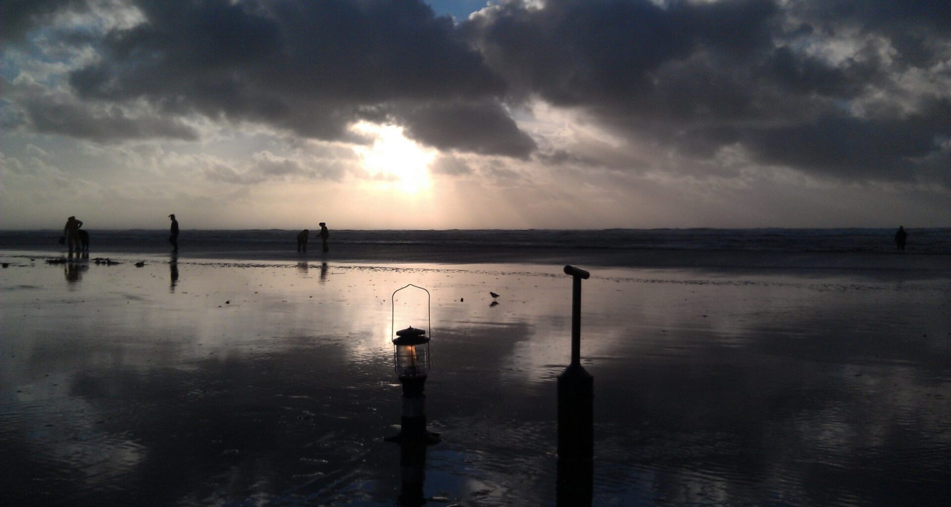 January 29-February 4 Razor Clam Dig OKed On Washington Coast -