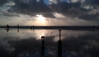 January 29-February 4 Razor Clam Dig OKed On Washington Coast -