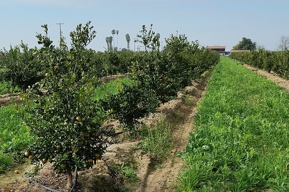 Southeast Development Project Scaled Back