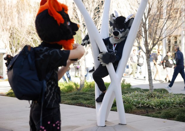 Derix, from Calgary, Canada, who preferred to give their character name only, has his photograph taken at Further Confusion, also known as FurCon, outside of the San Jose McEnery Convention Center in downtown San Jose, Calif., on Sunday, Jan. 18, 2026. (Nhat V. Meyer/Bay Area News Group)