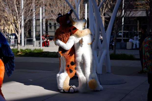 FluxPaw, left, from San Diego, and Demetrius, no location given, who preferred to give their character names only, hug for a photo at Further Confusion, also known as FurCon, outside of the San Jose McEnery Convention Center in downtown San Jose, Calif., on Sunday, Jan. 18, 2026. (Nhat V. Meyer/Bay Area News Group)