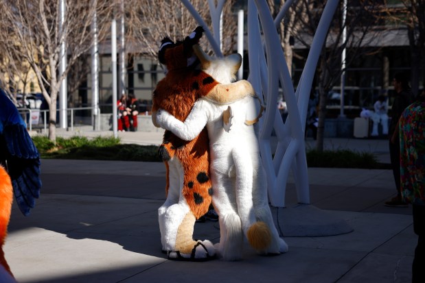 FluxPaw, left, from San Diego, and Demetrius, no location given, who preferred to give their character names only, hug for a photo at Further Confusion, also known as FurCon, outside of the San Jose McEnery Convention Center in downtown San Jose, Calif., on Sunday, Jan. 18, 2026. (Nhat V. Meyer/Bay Area News Group)
