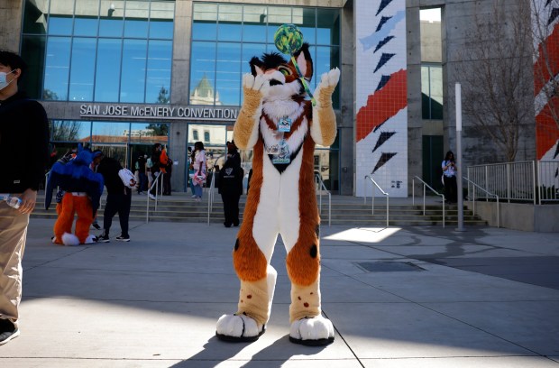 FluxPaw, from San Diego, who preferred to give their character name only, plays with a ball of yarn at Further Confusion, also known as FurCon, outside of the San Jose McEnery Convention Center in downtown San Jose, Calif., on Sunday, Jan. 18, 2026. (Nhat V. Meyer/Bay Area News Group)