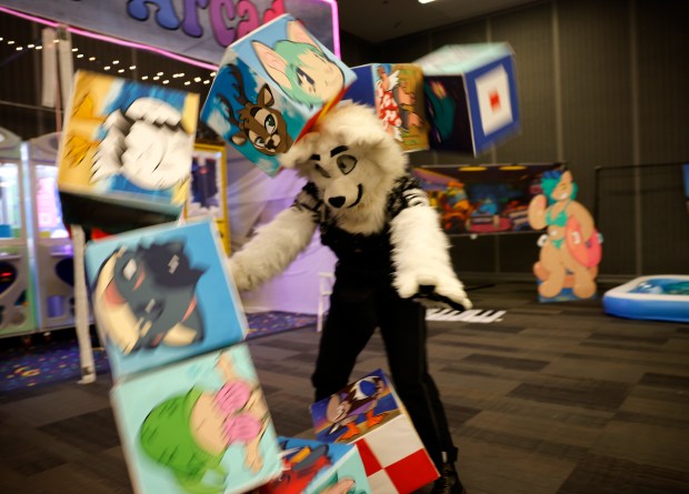 Quince, from Bakersfield, who preferred to give their character name only, plays with blocks at Further Confusion, also known as FurCon, at the San Jose McEnery Convention Center in downtown San Jose, Calif., on Sunday, Jan. 18, 2026. FurCon had a beach theme this year called "The Beach Episode." (Nhat V. Meyer/Bay Area News Group)