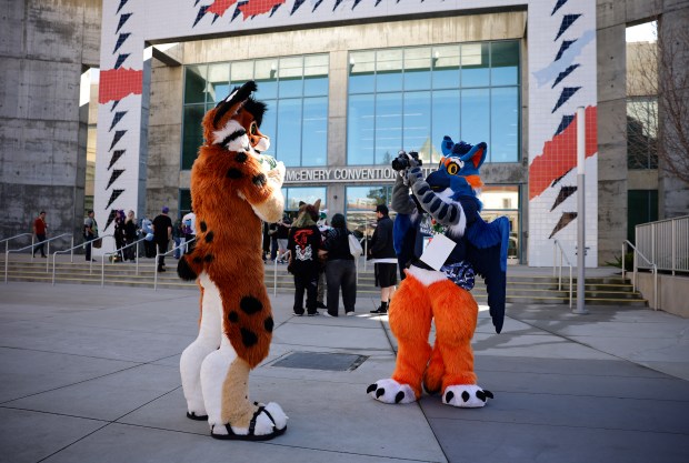 FluxPaw, left, from San Diego, has his photo taken by Antwelm, from Seattle, they preferred to give their character names only, at Further Confusion, also known as FurCon, outside of the San Jose McEnery Convention Center in downtown San Jose, Calif., on Sunday, Jan. 18, 2026. (Nhat V. Meyer/Bay Area News Group)