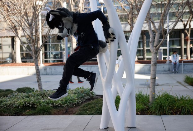 Derix, from Calgary, Canada, who preferred to give their character name only, jumps down after having his photograph taken at the Further Confusion, also known as FurCon, outside of the San Jose McEnery Convention Center in downtown San Jose, Calif., on Sunday, Jan. 18, 2026. (Nhat V. Meyer/Bay Area News Group)