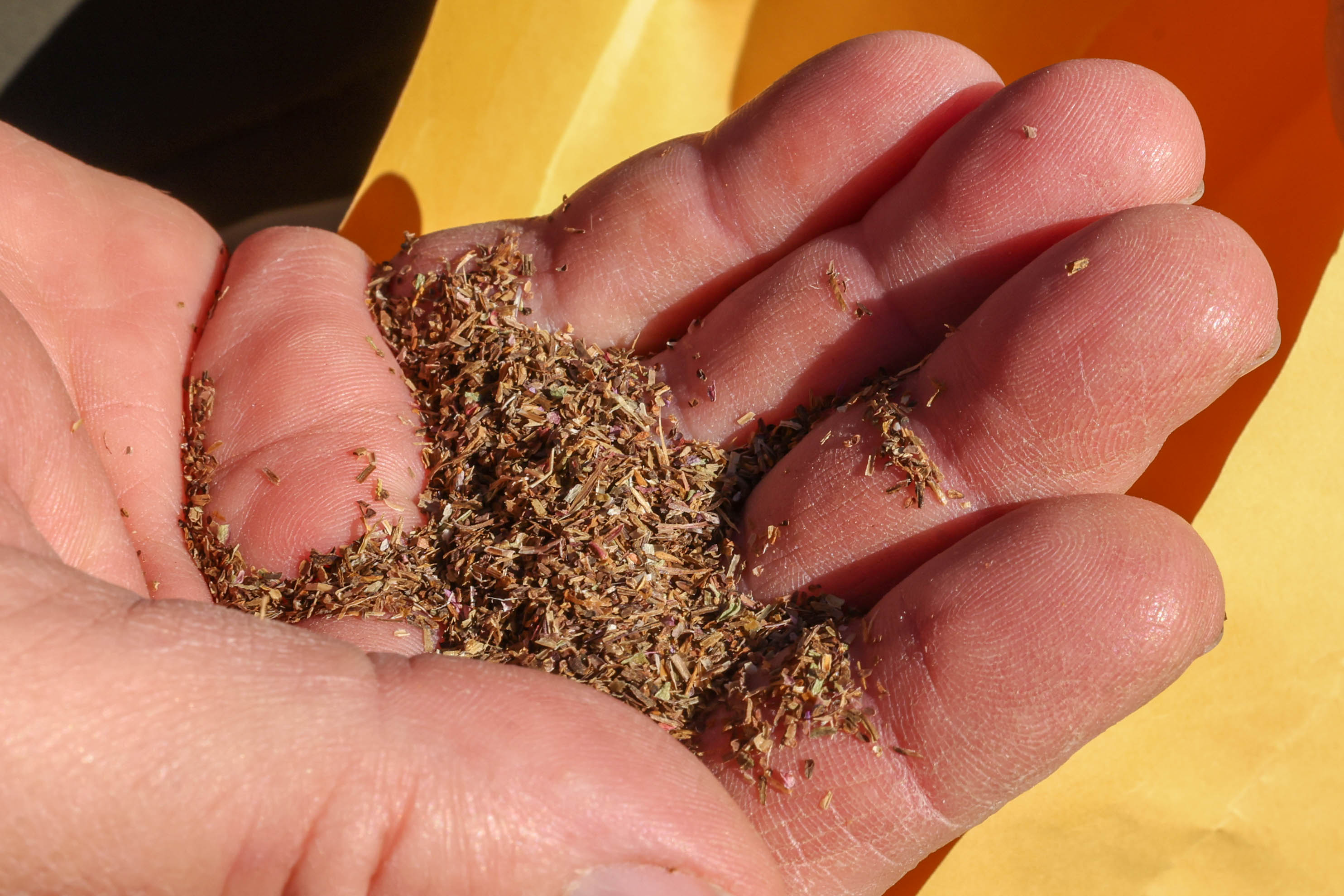 Golden Gate National Recreation Area vegetation manager Eric Wrubel spreads...