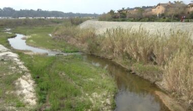 House approves $26 million for San Luis Rey River project in Oceanside