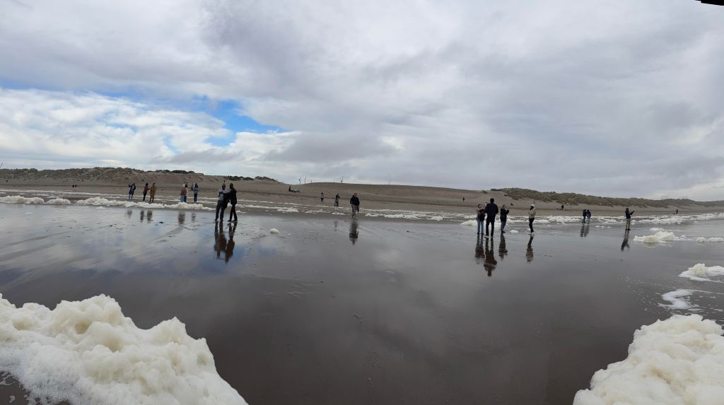 Love the mist, love my California