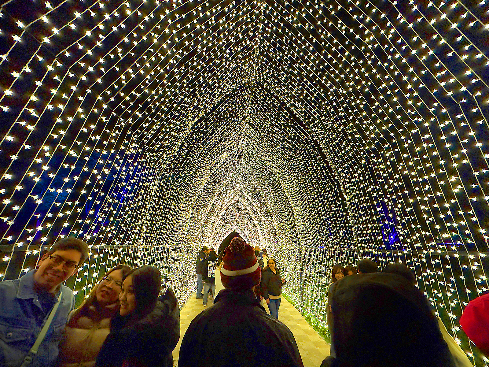 Lightscape at the San Francisco Botanical Garden features over 1...