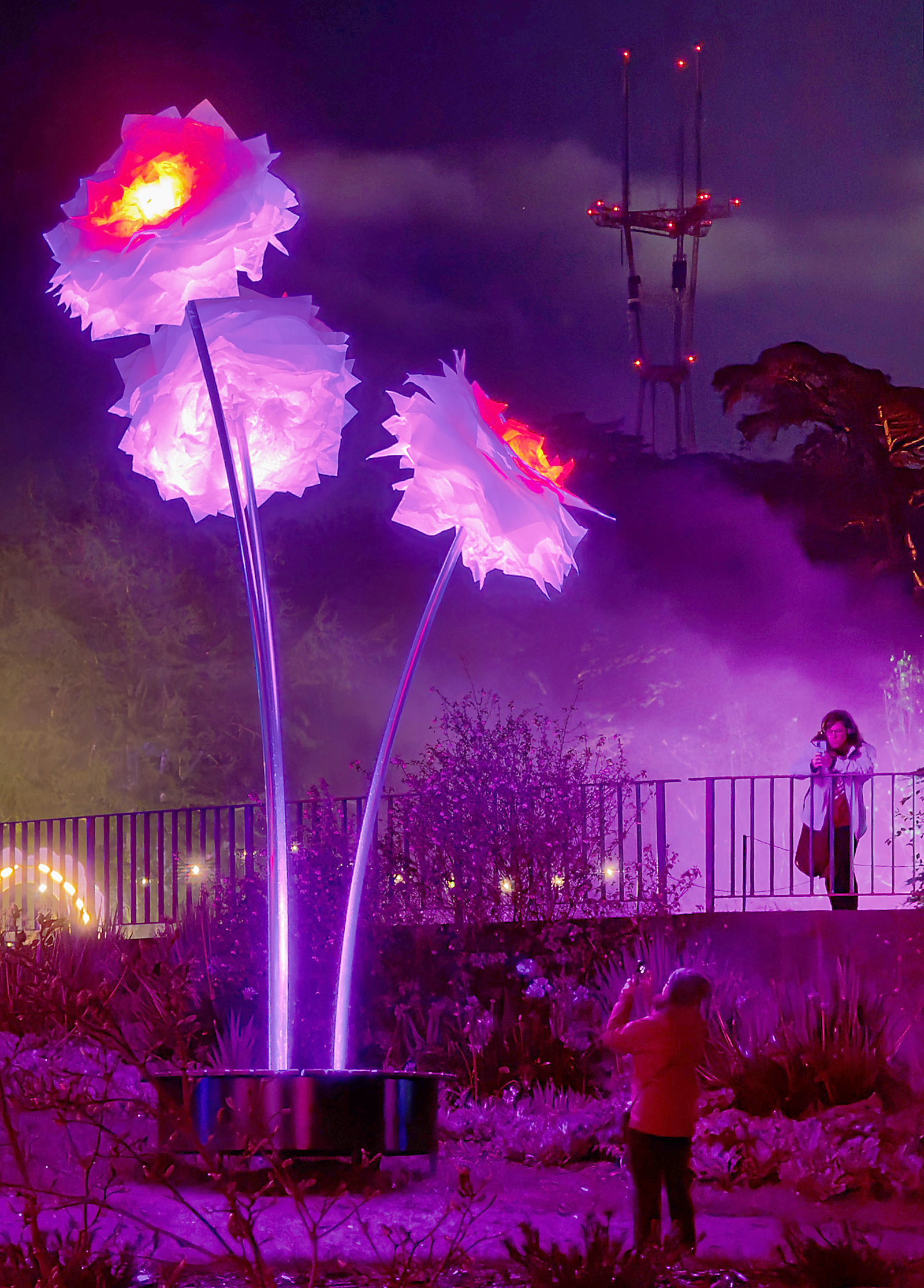 Visitors to Lightscape are dwarfed by illuminated peonies as the...