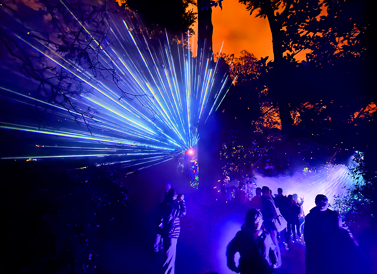 Lasers and fog combine to create dynamic light sculptures that...