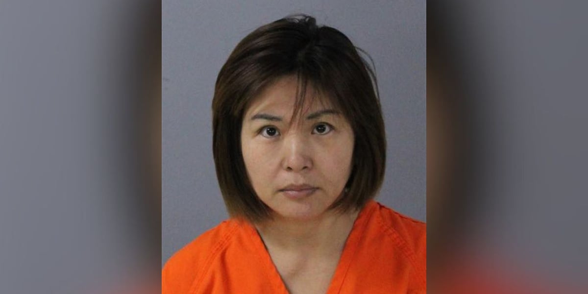 California woman facing felony charges in Leeds credit card fraud case