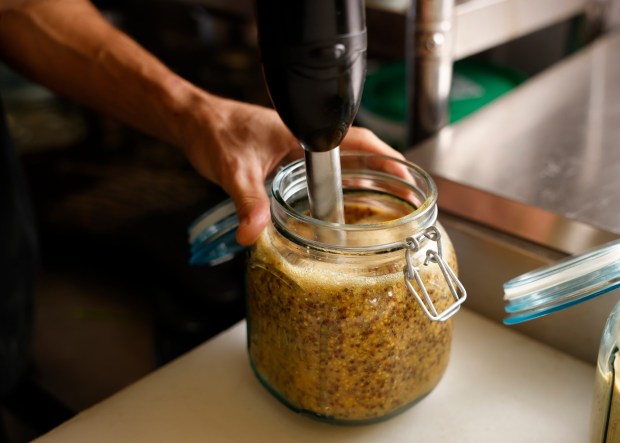 From-scratch mustard is mixed with an immersion blender. (K.C. Alfred / The San Diego Union-Tribune)