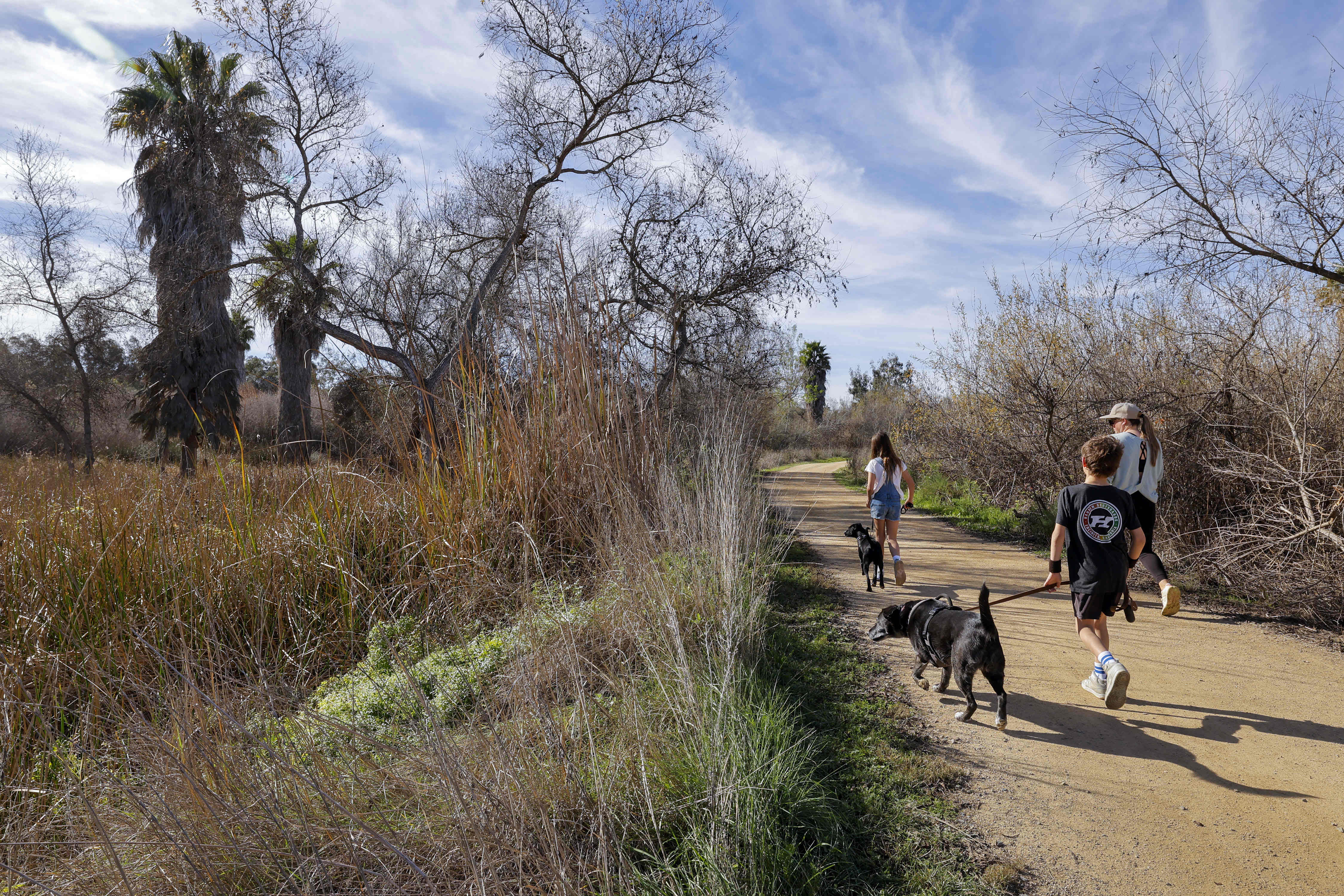 People and the dogs walk on one of the trails...