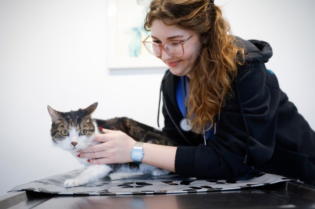 Dr. Andrea Brkic examines Cali at the San Diego Humane Society Community Veterinary Clinic on Thursday, Jan. 8, 2026 in San Diego, California. (Meg McLaughlin / The San Diego Union-Tribune)