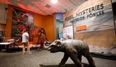 Jan. 5-9 – San Diego Union-Tribune