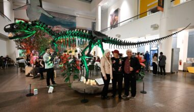 Things to do in San Diego that don't revolve around drinking