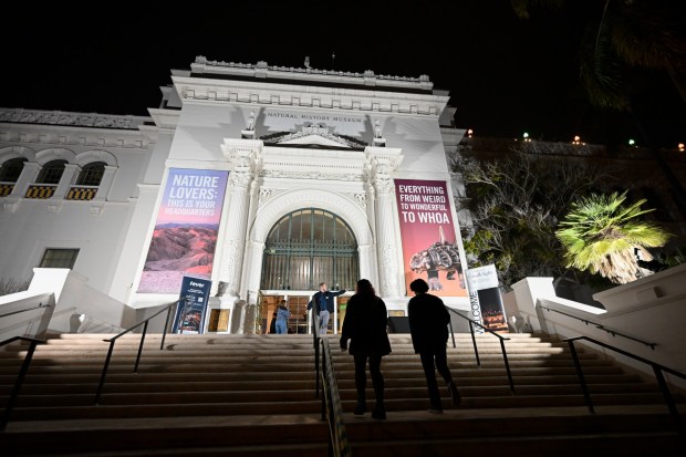 Visitors arrive for Nat at Night at the San Diego Natural History Museum Dec.19, 2025 in San Diego, Calif. (Photo by Denis Poroy)
