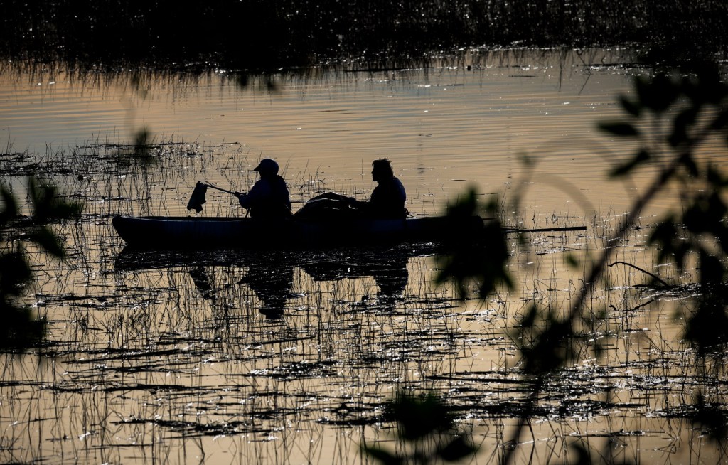 Volunteers kayak through San Diego River Estuary to pick up trash and protect endangered wildlife – San Diego Union-Tribune