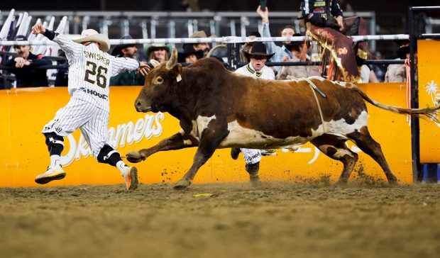A bull chases a rodeo clown during the third annual San Diego Rodeo at Petco Park on Friday, Jan. 16, 2026 in San Diego, California. (Meg McLaughlin / The San Diego Union-Tribune)