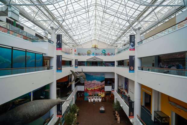 Tour of the San Diego Natural History Museum is which is celebrating its 150th anniversary as an organization in Balboa Park on Friday, Aug. 9, 2024 in San Diego, California. (Alejandro Tamayo / The San Diego Union-Tribune)