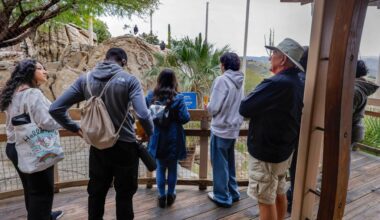 Seniors 65 and older will get free admission at the Safari Park in February – San Diego Union-Tribune