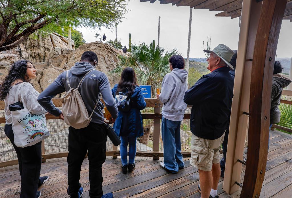 Seniors 65 and older will get free admission at the Safari Park in February – San Diego Union-Tribune