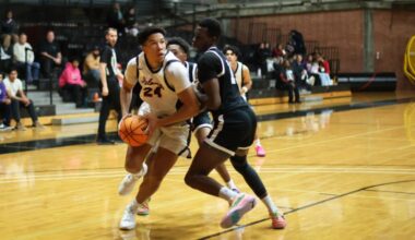 Palomar College could challenge for JC hoops supremacy this season