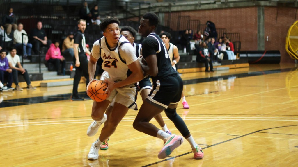 Palomar College could challenge for JC hoops supremacy this season
