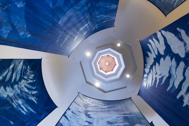 San Diegan Oriana Poindexter, a marine scientist and artist, has created a new installation, "The Blue Forest," that merges her passion for art and science. The exhibition is on display through October 2026 at the Catalina Museum for Art and History. (Catalina Museum for Art and History)