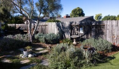 A welcome to wildlife – San Diego Union-Tribune