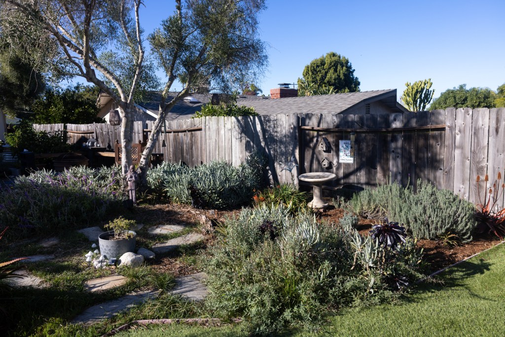 A welcome to wildlife – San Diego Union-Tribune