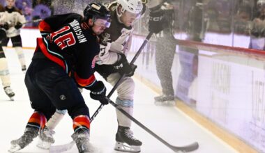 Gulls blanked by Coachella Valley at home