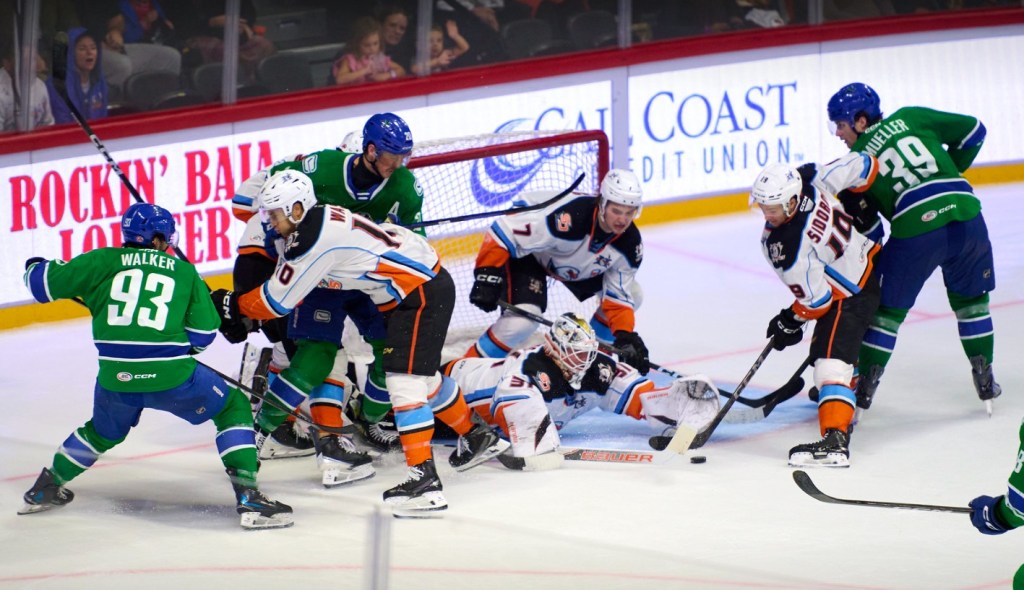 Gulls enter 2026 on hot streak; Seals host Calgary