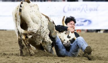 Profit isn’t a defense for cruelty to animals at rodeos – San Diego Union-Tribune