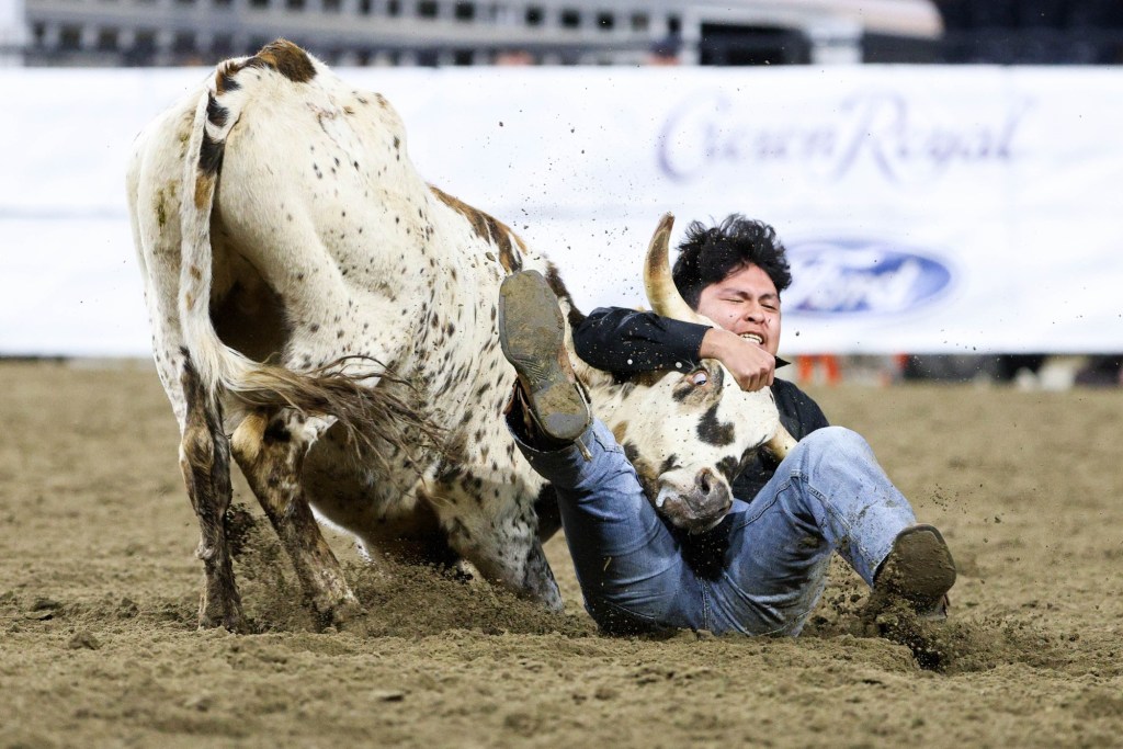 Profit isn’t a defense for cruelty to animals at rodeos – San Diego Union-Tribune