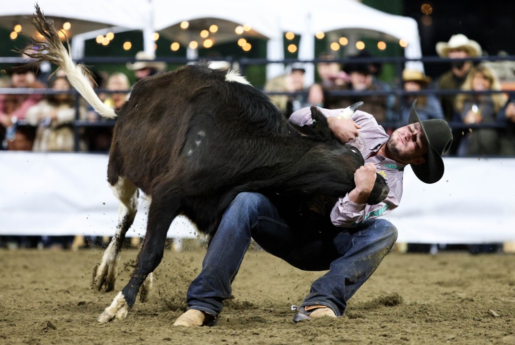 The hypocrisy of rodeo critics is in plain sight – San Diego Union-Tribune