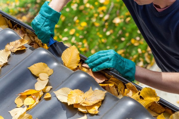 If you haven't already, now's the time to make sure rain gutters are cleared out from fall debris, before the next rainstorms arrive. (Adobe Stock)